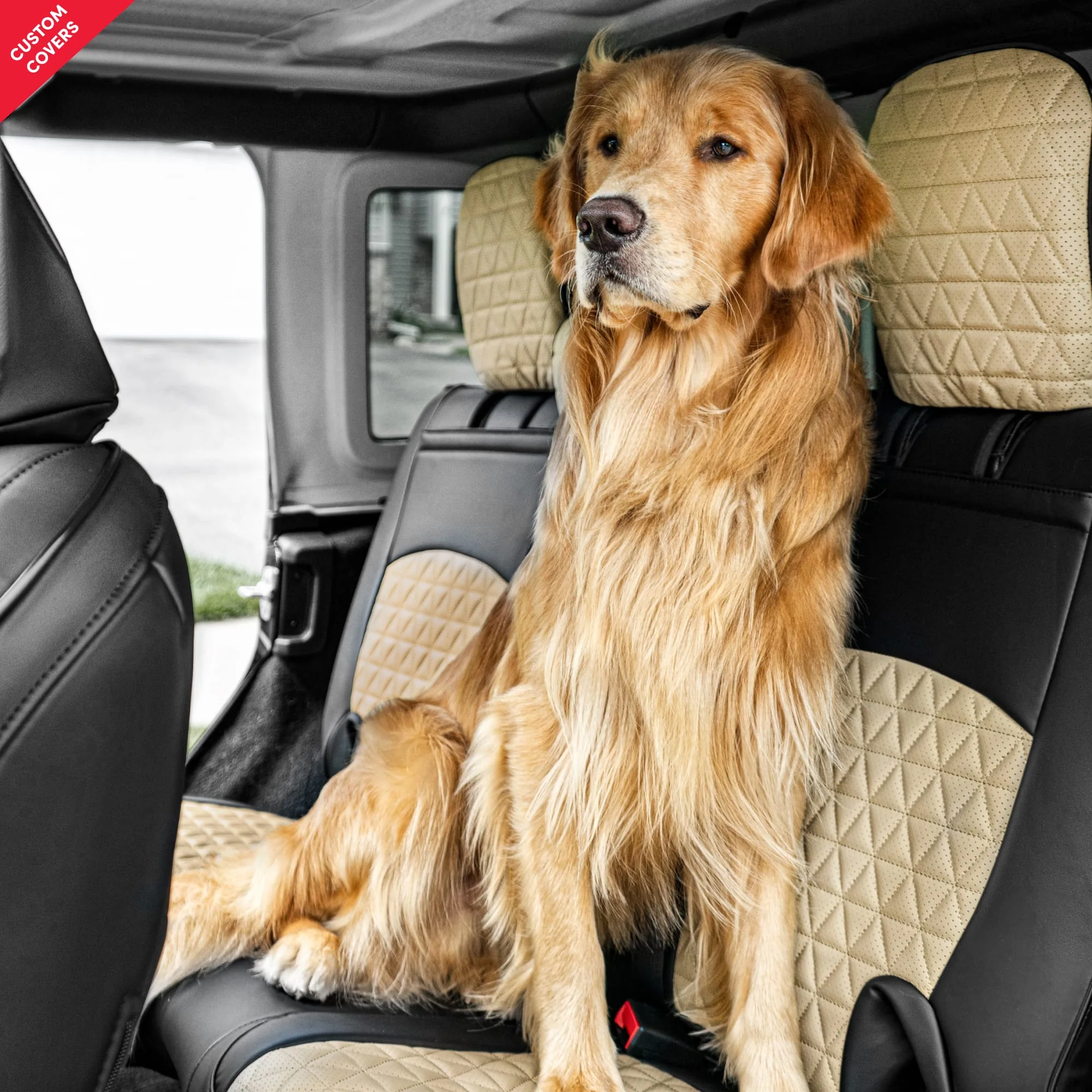 Custom Luxury Seat Covers - Image 24