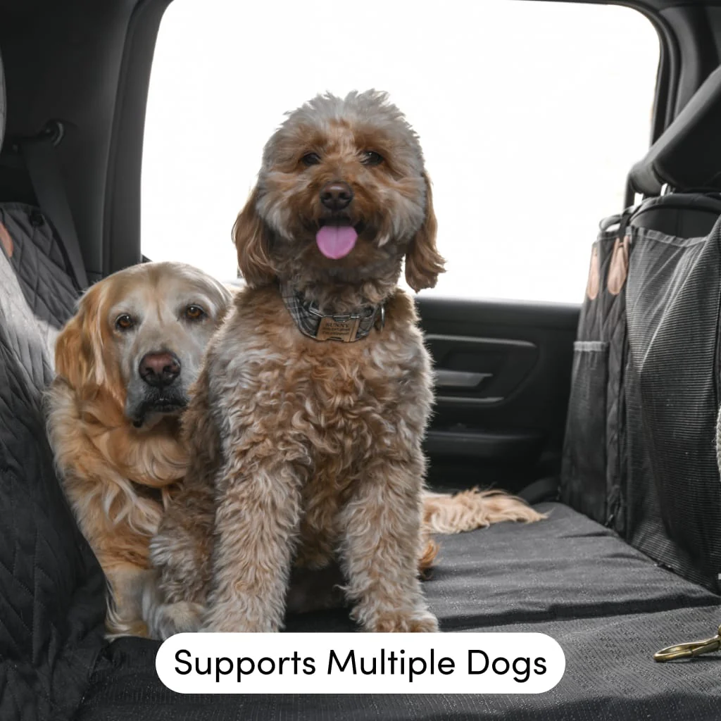 PetSuite Hard Bottom Dog Seat Protector - Image 15